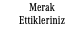 Merak Ettikleriniz